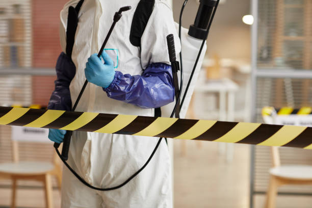 Professional Odor Removal technician working in Burlington, NJ